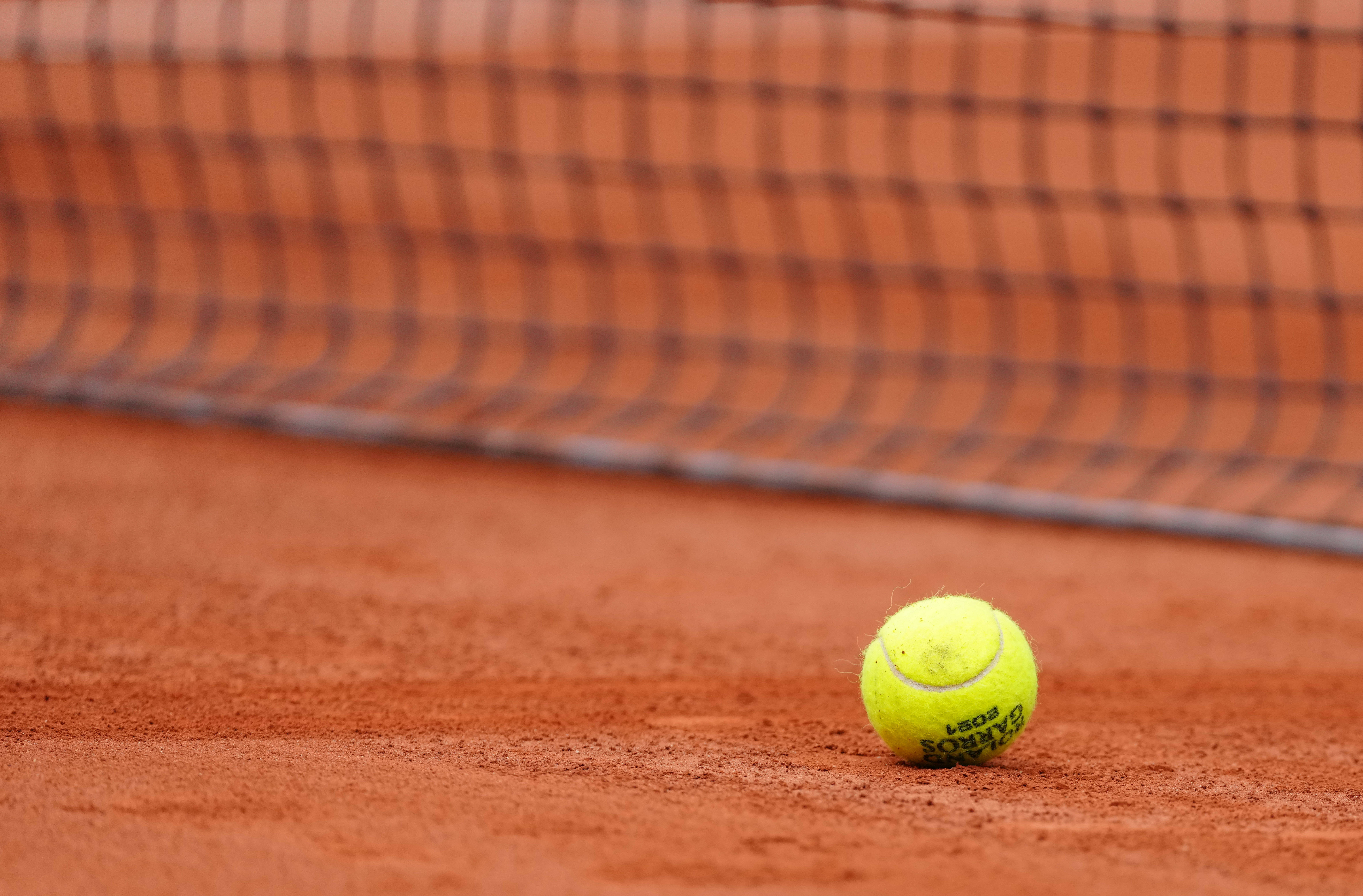 年的顶级参 年的顶级参